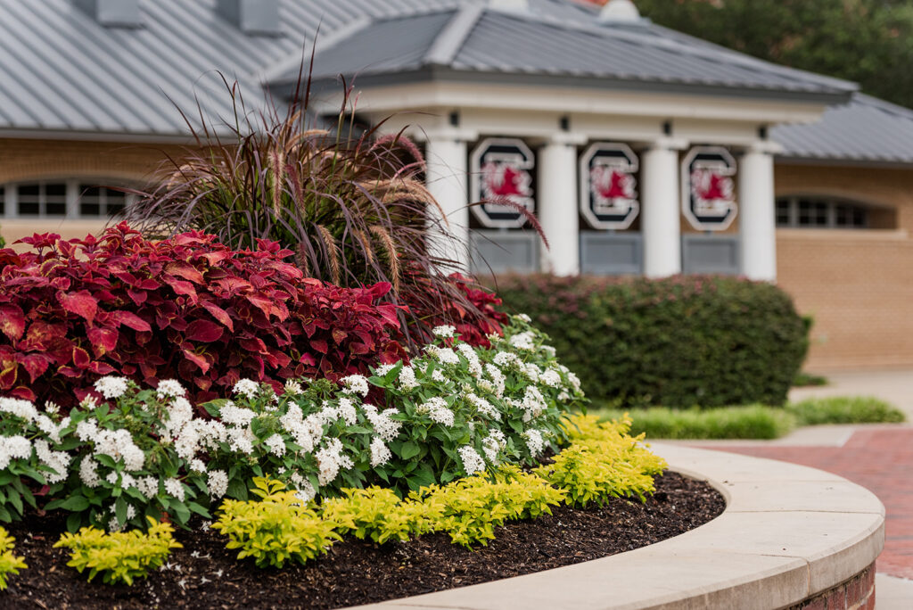 University of South Carolina Landscaping by Heritage
